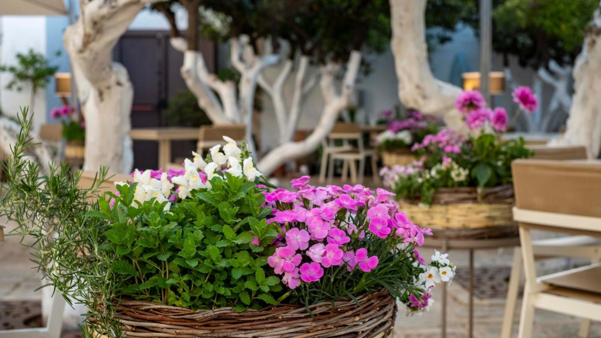 La Sommità Relais&Chateaux Ostuni Exterior foto